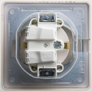 GSL000648_1